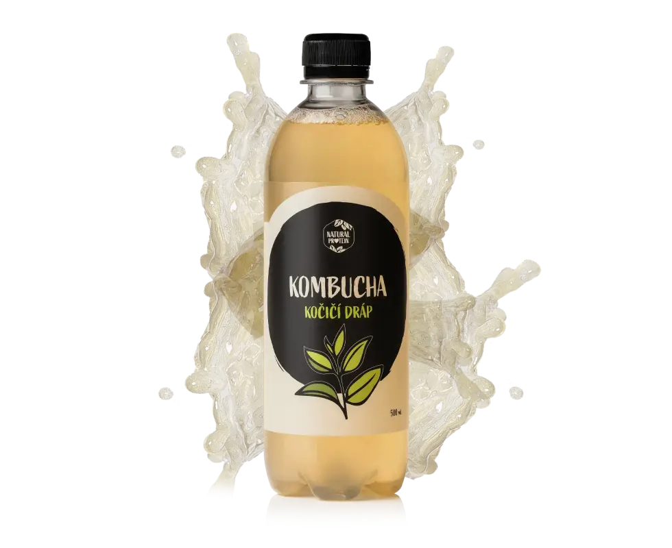 Kombucha - mačací dráp 1 kus